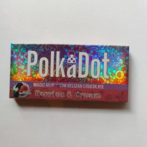 Polka Dot Mushroom Chocolate Bar for Research